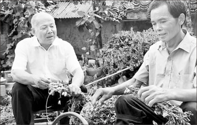 f9483124416647561f6002cd67d13658_1471973925942_1.jpg f9483124416647561f6002cd67d13658_1471973925942_1.jpg